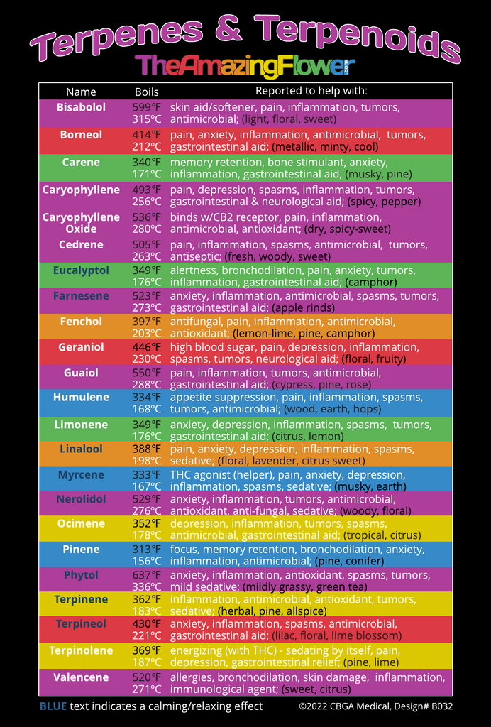 Infographic: Alphabetical, color-coded chart of 23 major cannabis terpenes, their reported effects, boiling points, and flavors