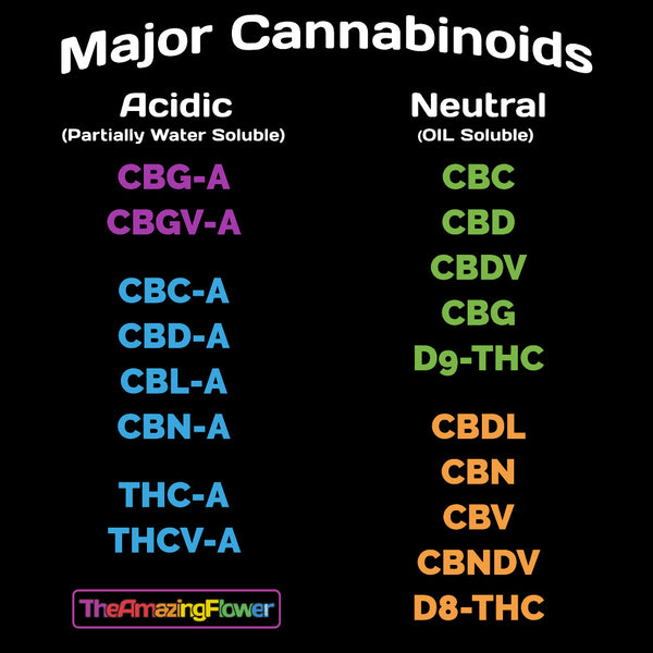 Infographic: Acidic & Neutral Cannabonoids List