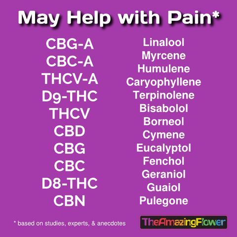 Table of 23 active ingredients in cannabis & hemp reported to help with pain