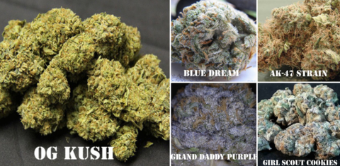 Different Cannabis Strain Pictures