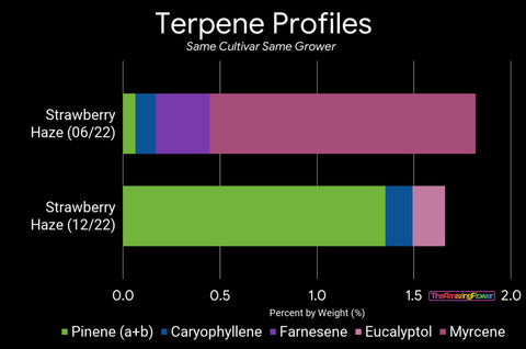 2 stacked bar charts of the same cultivar, or strain cannabis flower from the same vertically integrated producer. One has mostly Myrcene and little Pinene, and the other shows mostly Pinene with little Myrcene.