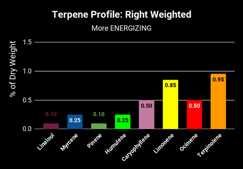 Infographic: More Energizing Cannabis Terpenes