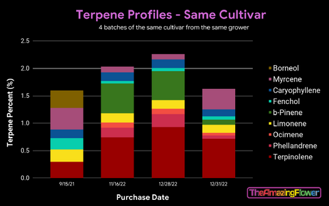 Stacked bar chart showing extreme variation in major terpene content in the same cultivar of cannabis