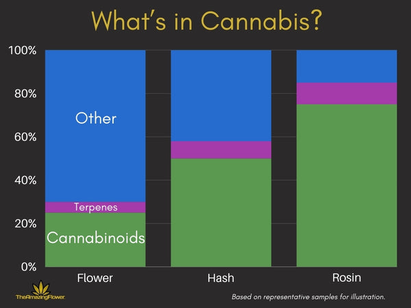 3 stacked vertical bar charts showing the % of cannabinoids, terpenes, and "other" in cannabis flower, hashish, and rosin.