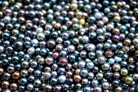 Collins Pearls Tahitian pearls in French Polynesia