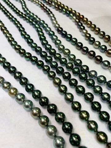 Tiny 7, 6, and 5 mm Tahitian pearls grown by Alexander Collins out of Tahiti.