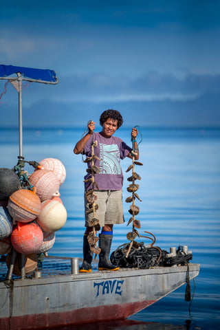 An employee of J. Hunter Pearls working at a pearl farm in Savusavu Bay