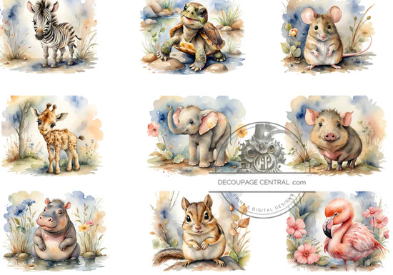 Zoo Babies Rice Paper (DC345)- Decoupage Central