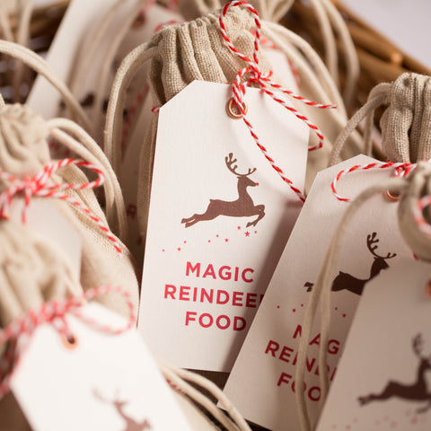 Festive Fingerprints Magic Reindeer Food Kit