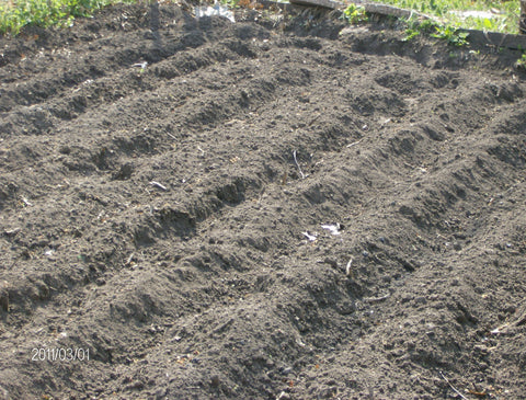 Tilled Soil