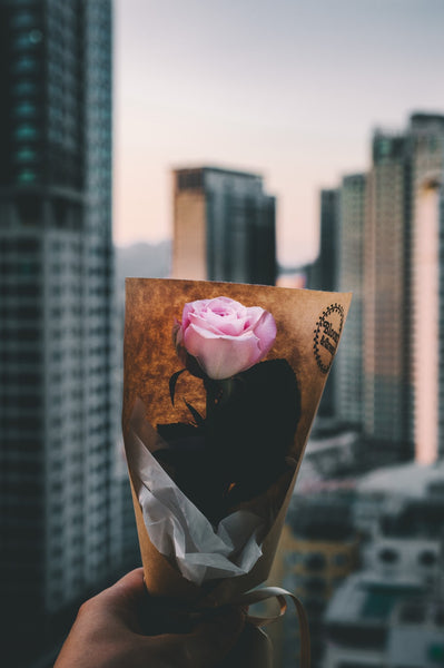 Rose for your partner.