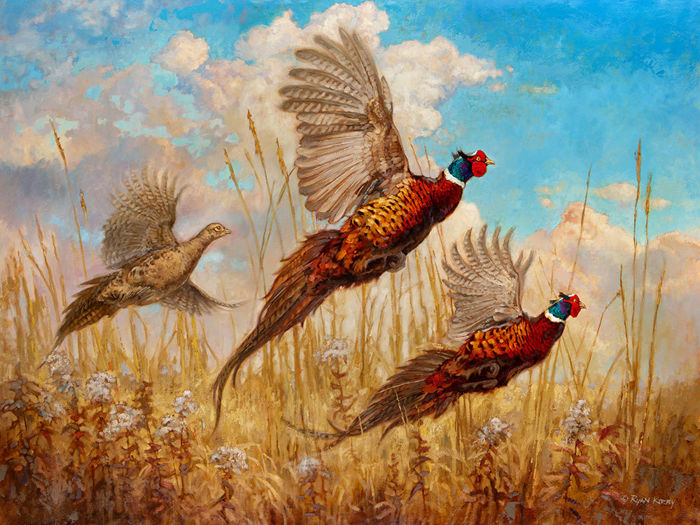 Copyright Ryan Kirby The Departure Pheasant Painting