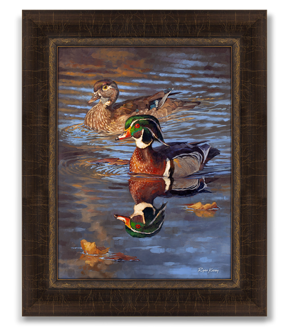 Ripple Effect, Wood Duck, Ryan Kirby Art, Framed Canvas