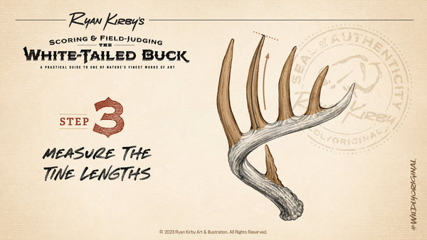 How to Score Your Whitetail, Measure Tines, Ryan Kirby
