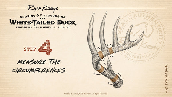 How to Score Your Whitetail, Measure Circumference, Antlers, Ryan Kirby