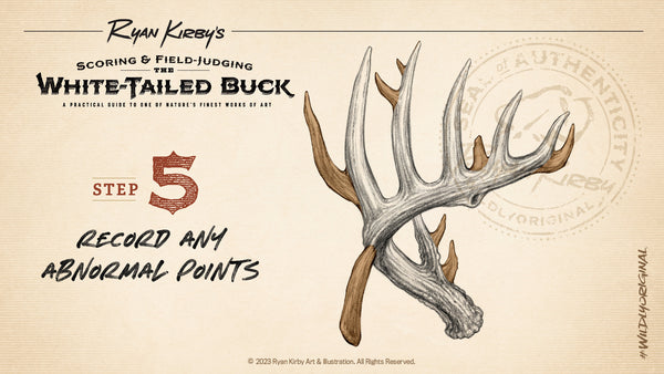 How to Score Your Whitetail, Antlers, Abnormal Points, Non Typical, Ryan Kirby