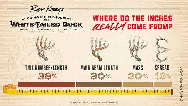 How to Score Your Whitetail, Antler, Ryan Kirby