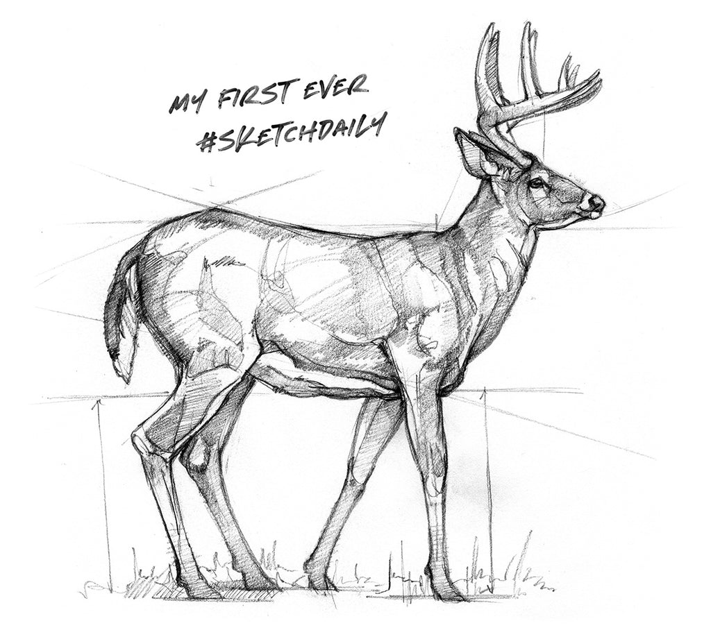 Ryan Kirby Whitetail Deer Sketch