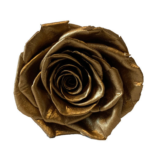 Gold Roses Redlands Fresh flowers