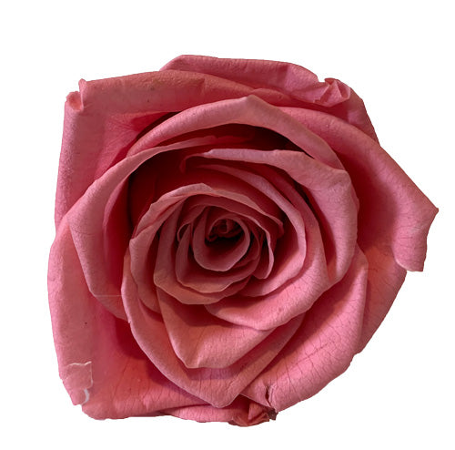 Pink Roses Redlands Fresh flowers