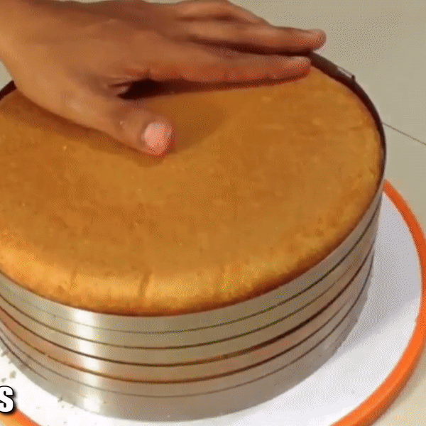 Adjustable Stainless Steel Cake Slicer