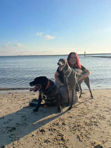 Greyhound and Staffy on the beach with their mum