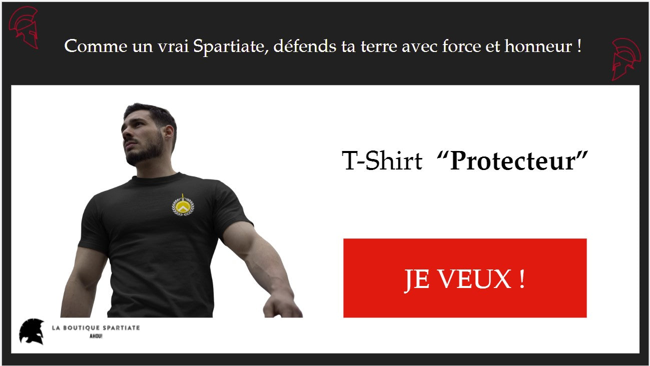 t-shirt 300 guerrier spartiate