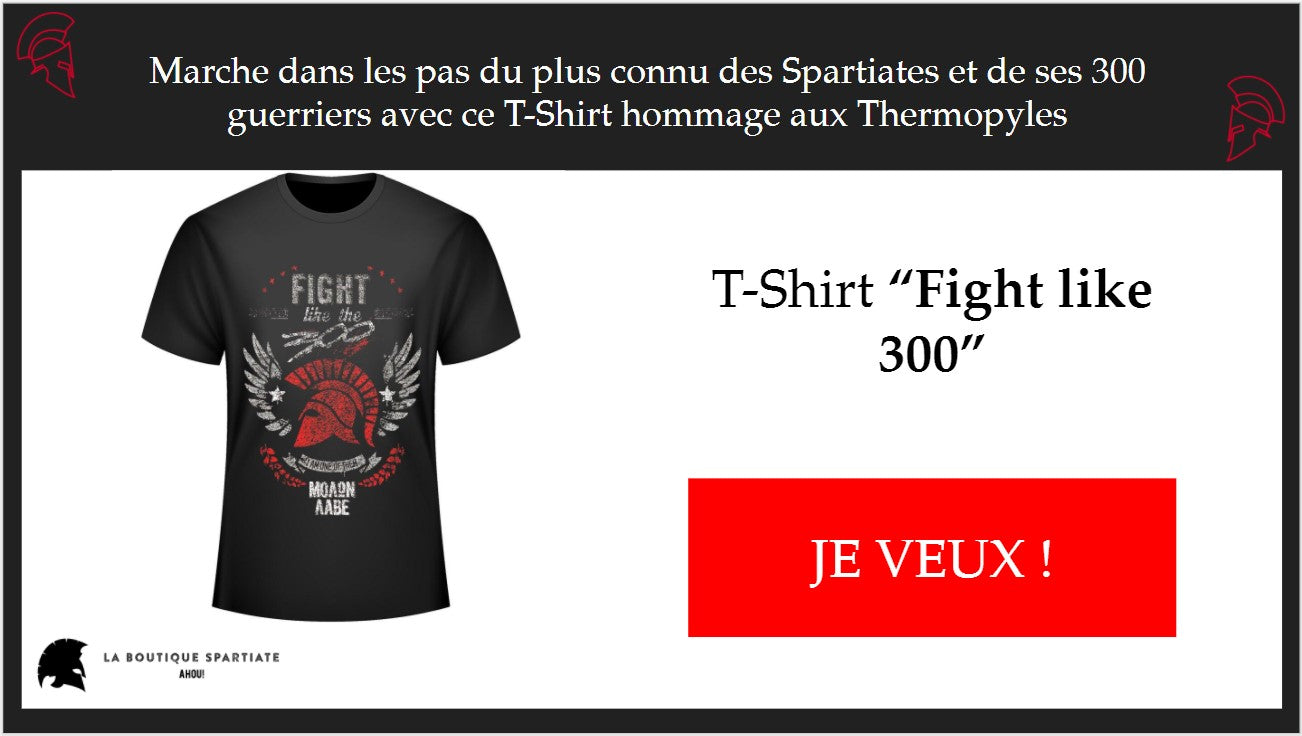 t-shirt spartiate fight like the 300