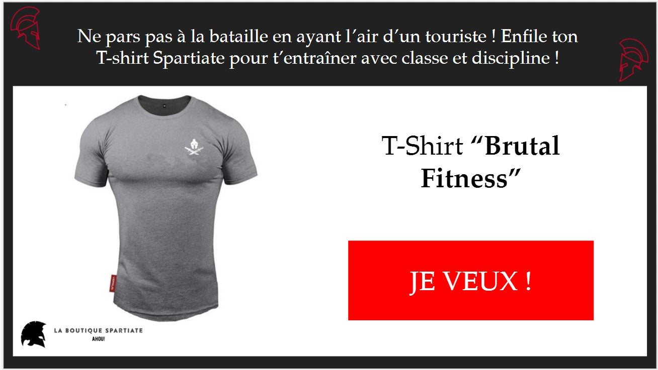 tshirt spartiate brutal fitness gris