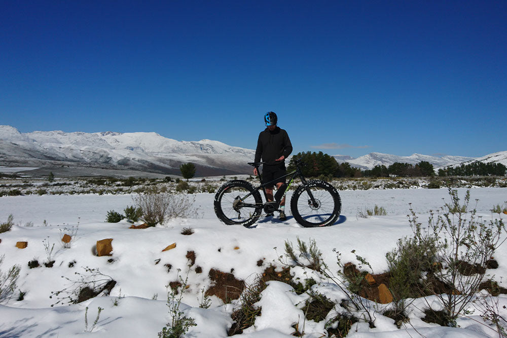 silverback e fatbike