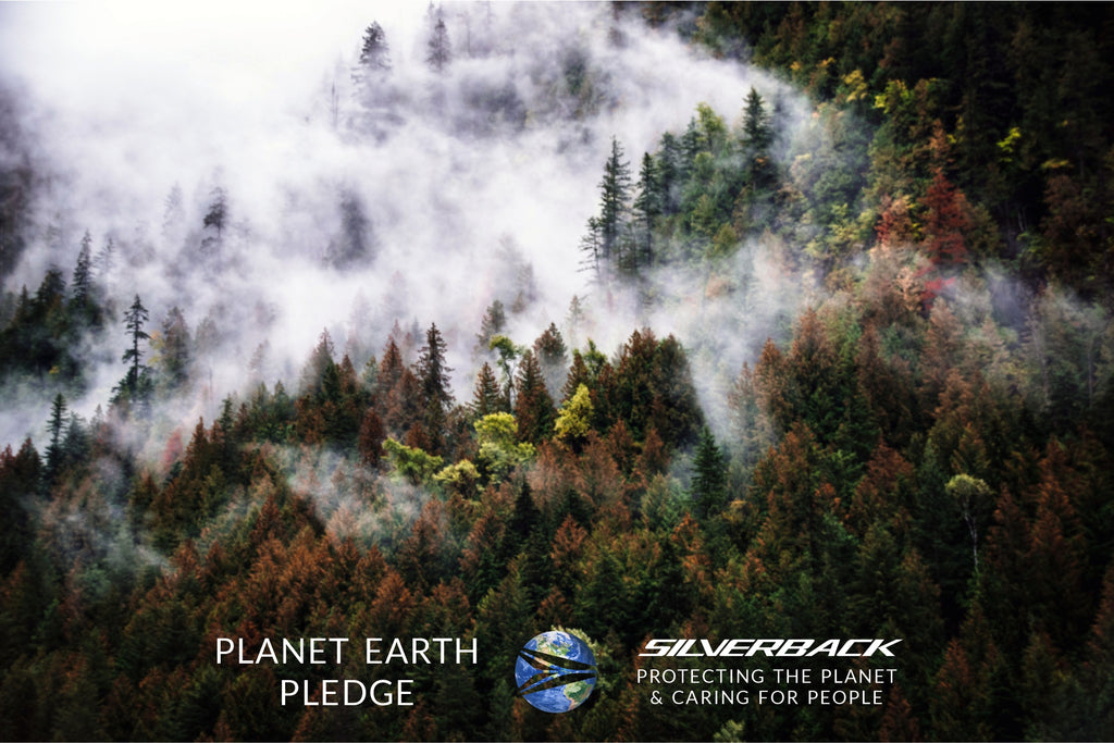 plant-earth-save-earth-carbon-footprint-silverbackbikes