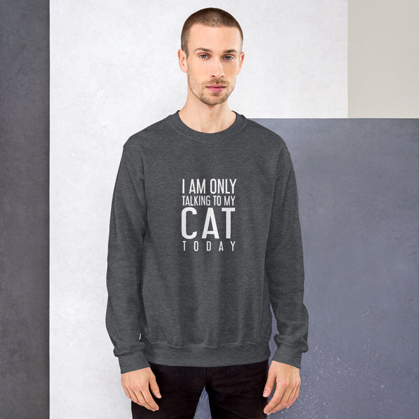 Talking To The Cat Sweatshirt
