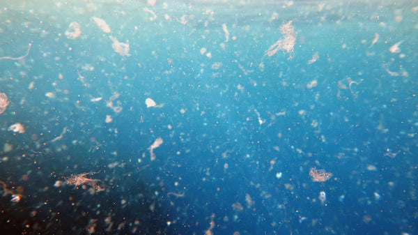 Microplastic pollution in the open ocean.