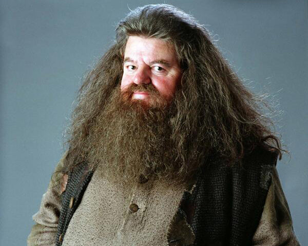 25 Best Halloween Costume Ideas For Men With Beards | Hagrid