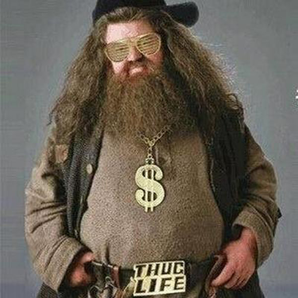 25 Best Halloween Costume Ideas For Men With Beards | Thug Life Hagrid