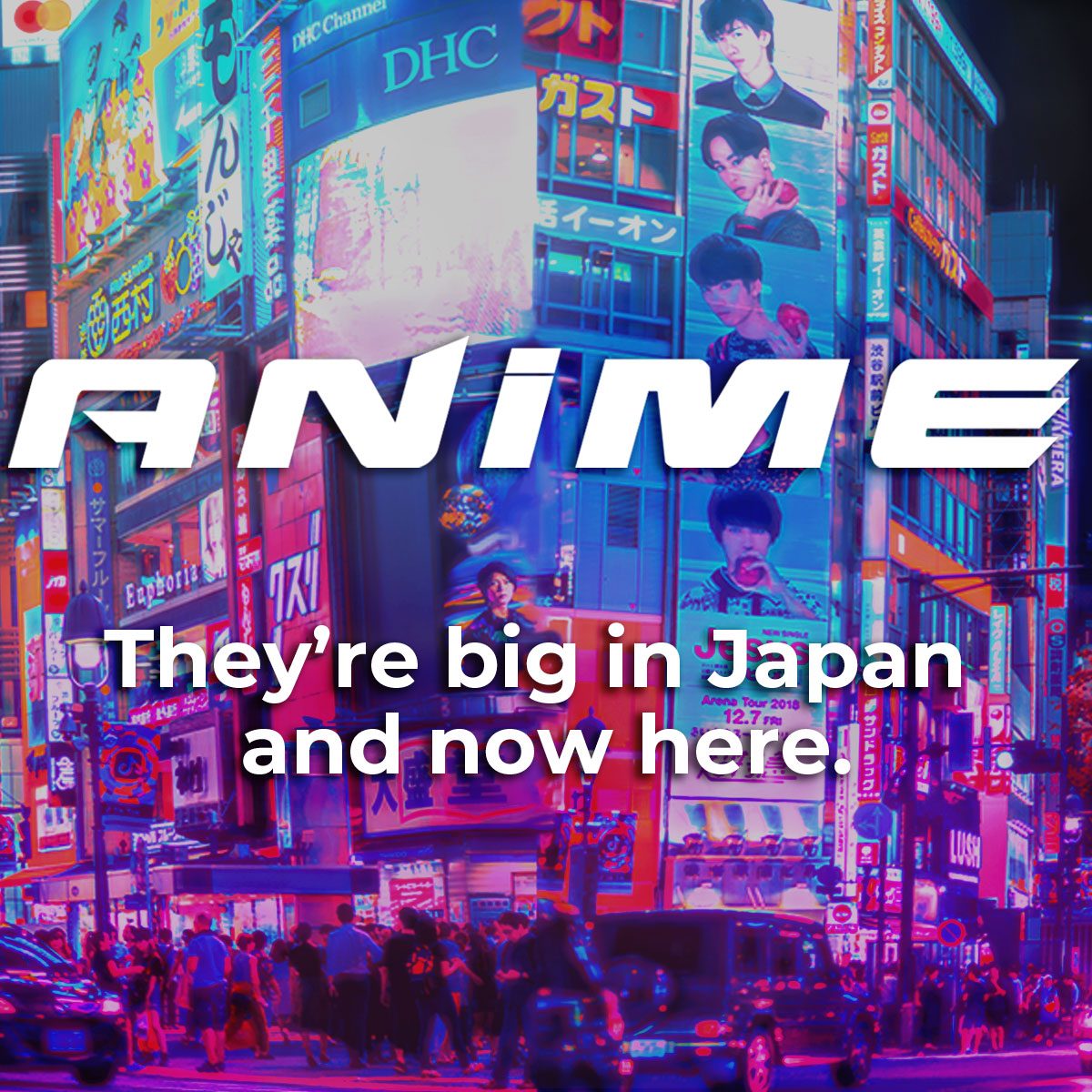 Anime Collection - They're big in Japan and now here.