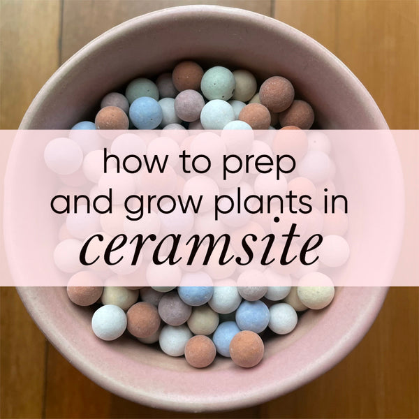 how-to-use-ceramsite-for-growing-plants