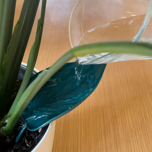 leaf-watering-funnel-for-plants