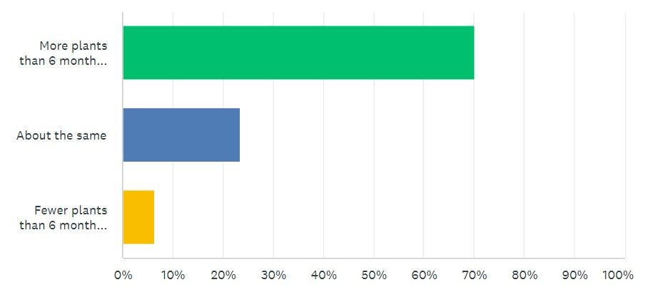 more-plants-indoor-plants-new-zealand-survey