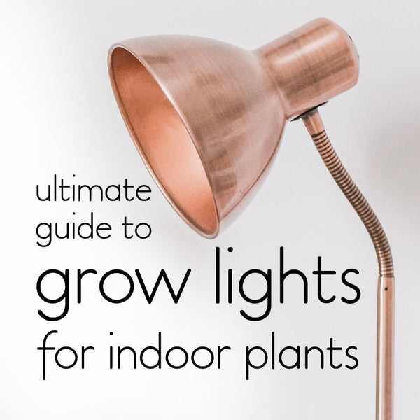 Tips for Choosing Grow Lights