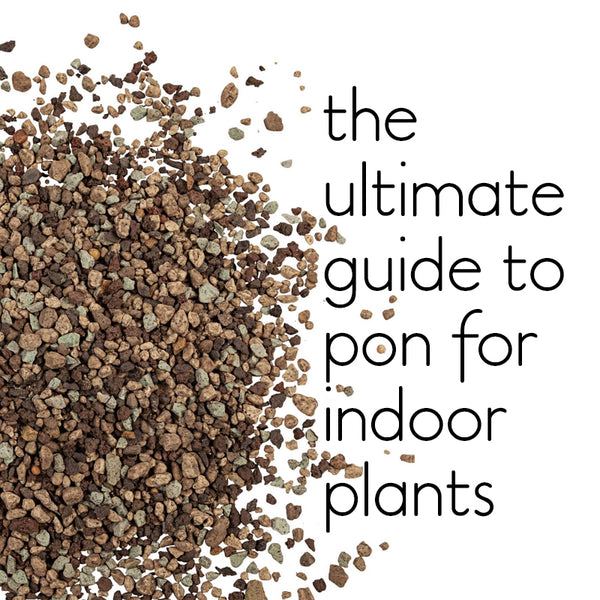 how-to-use-pon-indoor-plants-growing-propagation