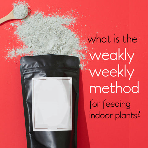 what-is-the-weakly-weekly-fertiliser-method