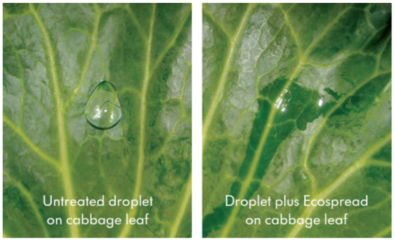 ecospread-applied-to-leaf