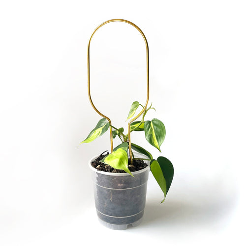 Plant products for plant people - Elevate your plant life - Botanopia