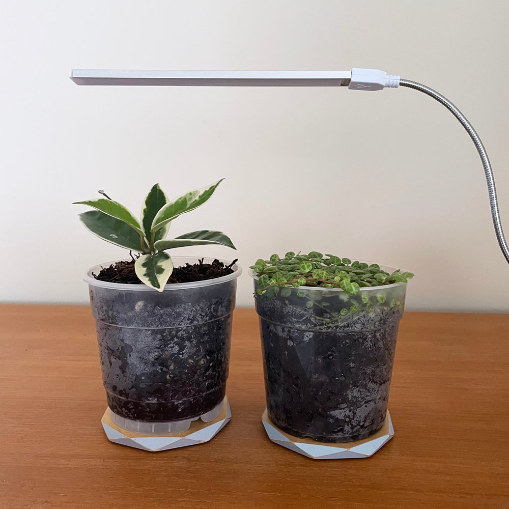 https://cdn.shopify.com/s/files/1/0434/5426/7555/products/ledgrowstick11000.jpg?v=1645674881