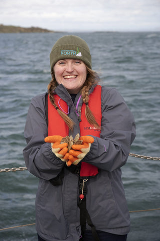 RestorationForth - Native oysters going back in Firth of Forth