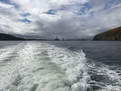 Leaving the Cromarty Firth
