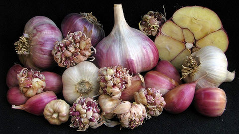 onions, garlic