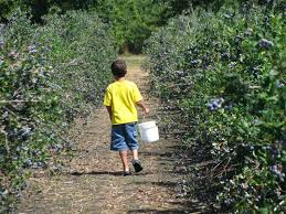 boy farming