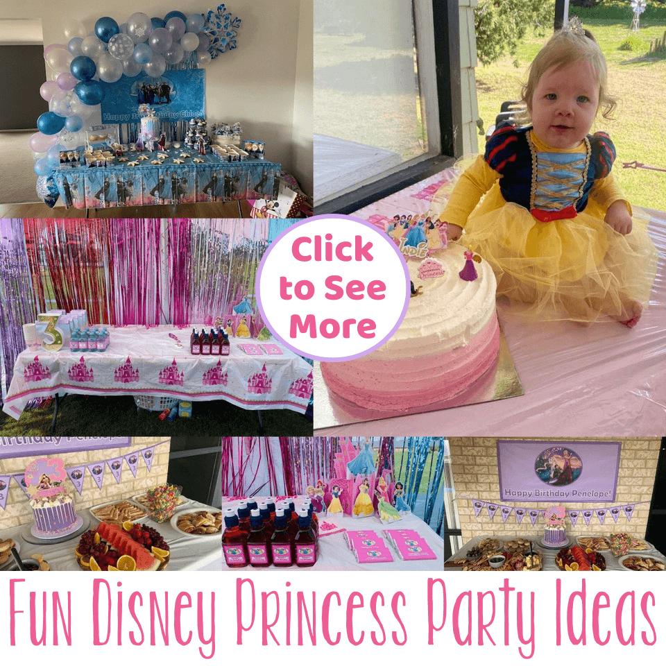 Peacock Princess Themed Birthday Party Ideas (Decorations, Supplies, etc)